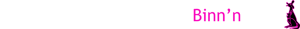 Logo Indoorstrand Binn'npret
